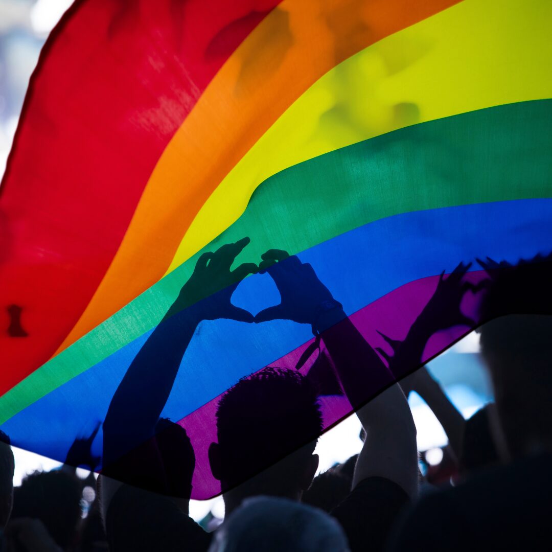 El activismo LGBT+ para el matrimonio igualitario en Chile: visibilidad pública, movilización legal y tenacidad legislativa